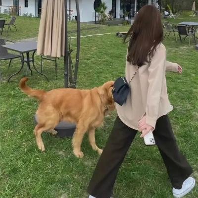 如沐爱河